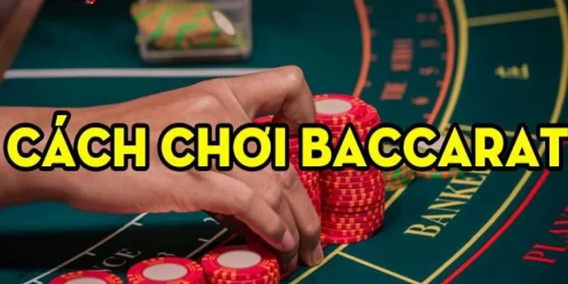 Chia nhỏ tiền vốn khi cược Baccarat