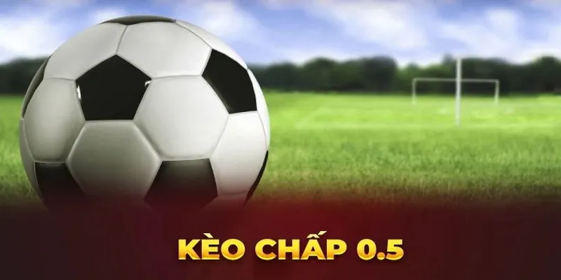 Theo dõi kỹ càng tỷ lệ kèo của Go88 online